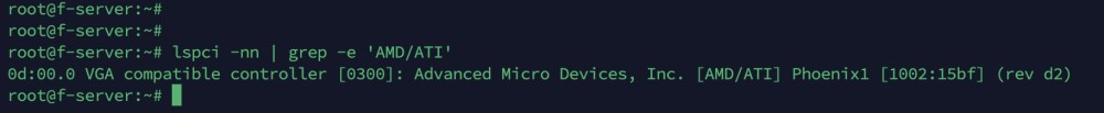Консольный вывод lspci с фильтром AMD/ATI