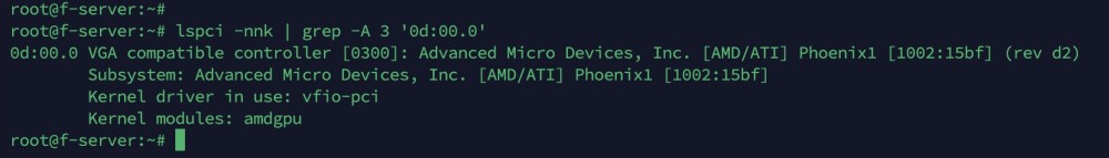 Консольный вывод команды lspci с информацией о видеокарте AMD